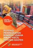 Analisis Hasil SE2016 Lanjutan Potensi Peningkatan Kinerja Usaha Mikro Kecil Provinsi Banten